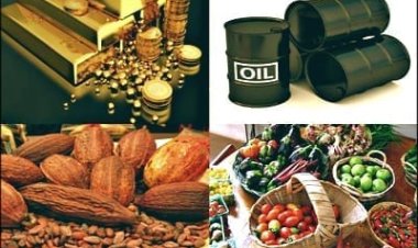 GDP growth rate is positive news that should be told by govt – UGBS Economist