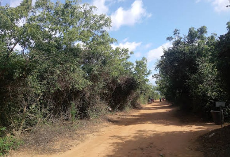 Chiefs and Elders of Osu to engage govt officials on issues surrounding Achimota Forest