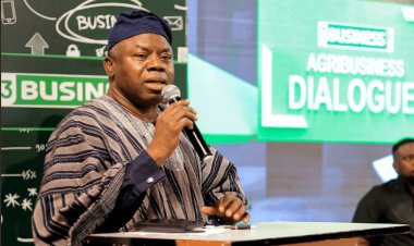 Ghana has been thriving on borrowed resources, massive investments in agriculture needed – Andani