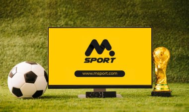 The Qatar 2022 World Cup: Knockout Football Fever brought to you by MSPORT