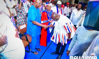 Halt campaigning, focus on rebuilding the party – NPP elders to members