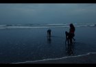 Make A Wish: A Heartfelt Reflection on Love, Friendship, and Time